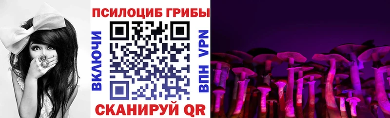 Псилоцибиновые грибы Psilocybe  Северобайкальск 