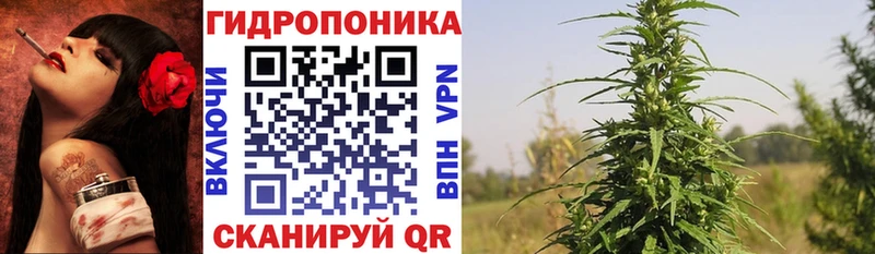 купить закладку  Северобайкальск  гидра рабочий сайт  Шишки марихуана OG Kush 